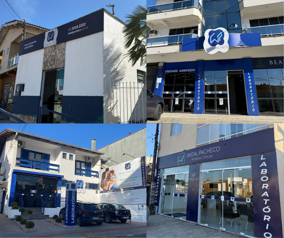 widal pacheco - lagessc